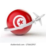 الادخار والاستثمار في تونس